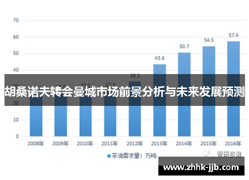 胡桑诺夫转会曼城市场前景分析与未来发展预测